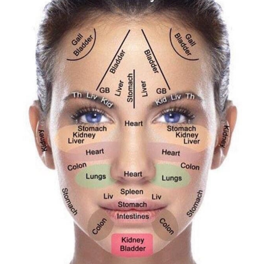 face acupressure points chart