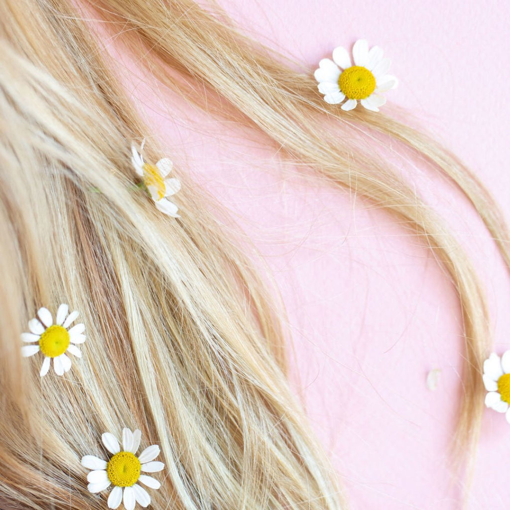 chamomile flowers in blonde hair; pink background